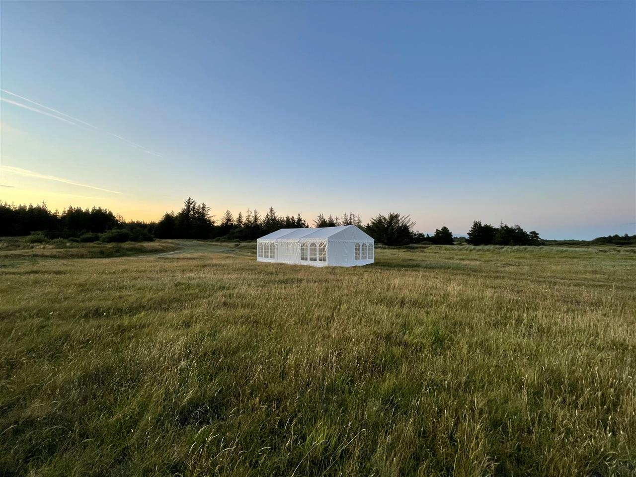 Alt om festtelt udlejning – skab den perfekte ramme for din fest